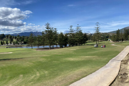 6ef70167ab28ed8959bcbf32ebf76a8d - 17