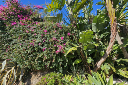 6fbd88cb007c55e8ba53c737de61f6bb - 25