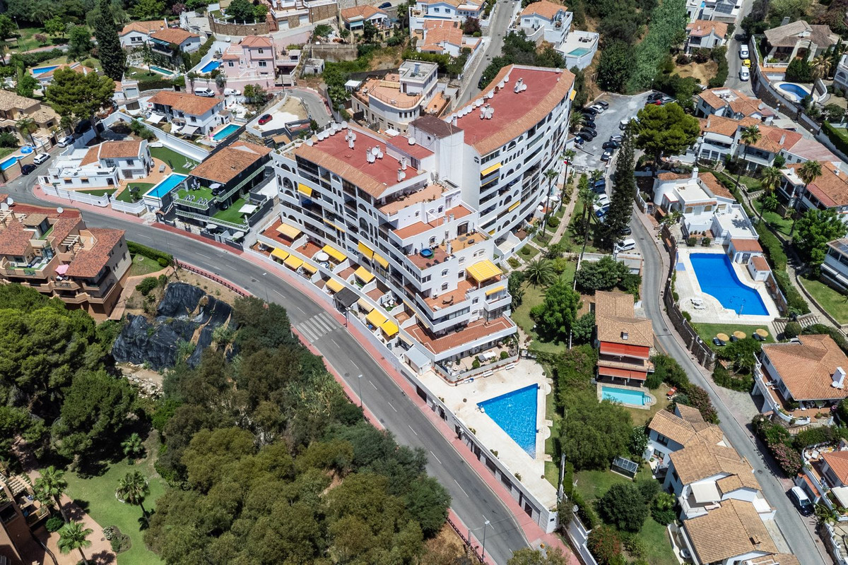 6feb7dbecb05516c18aff64773034d6b - 24