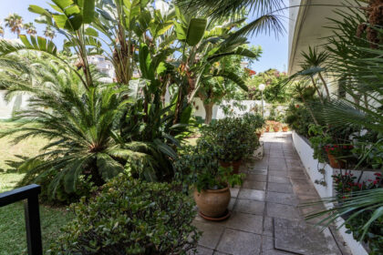 6feb7dbecb05516c18aff64773034d6b - 26