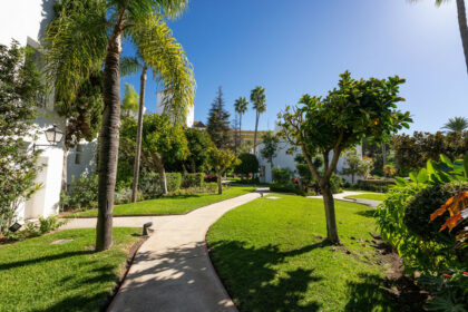 71a34c495f3ca603eeaf95a743576fab - 29