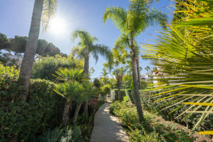 71a34c495f3ca603eeaf95a743576fab - 33