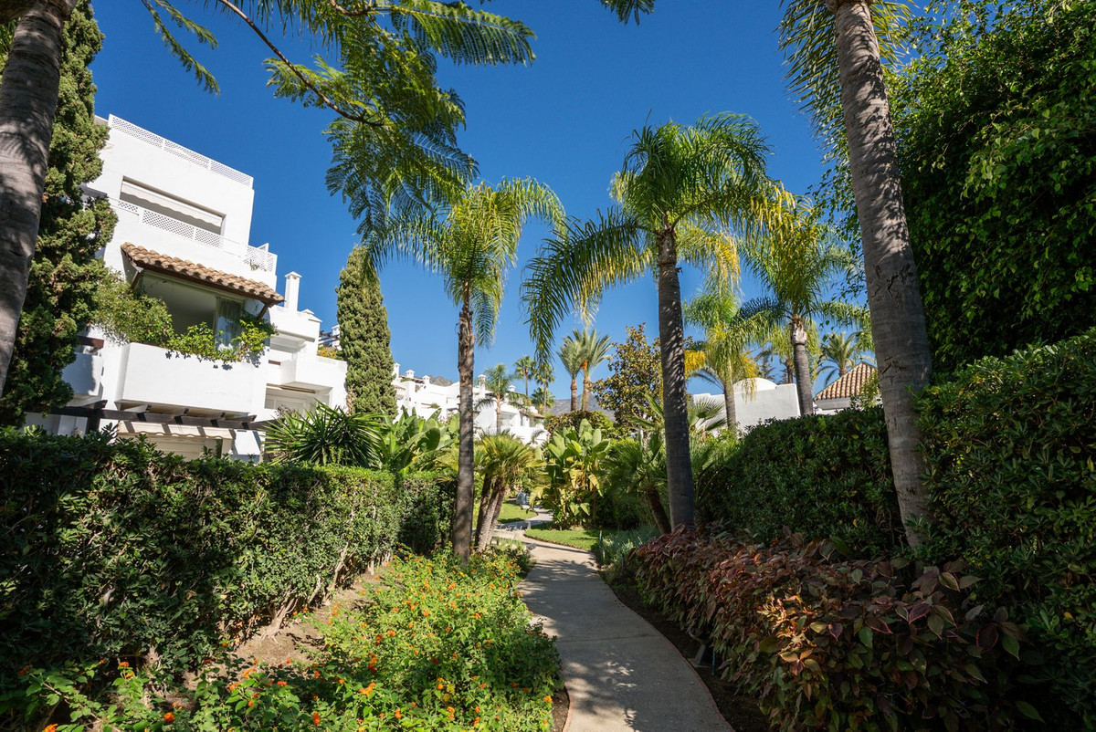 71a34c495f3ca603eeaf95a743576fab - 34