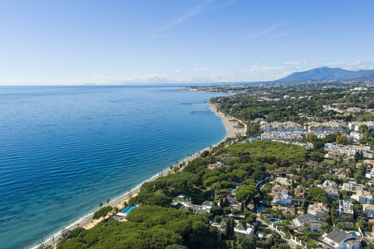 71a34c495f3ca603eeaf95a743576fab - 40