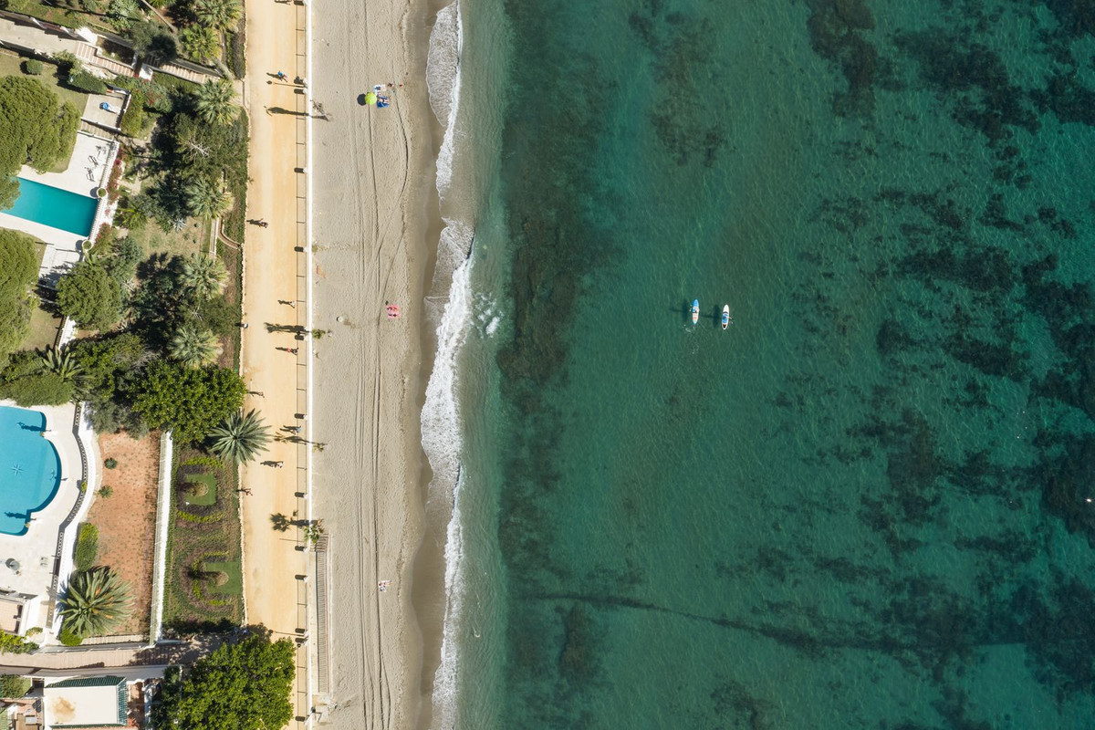 71a34c495f3ca603eeaf95a743576fab - 41