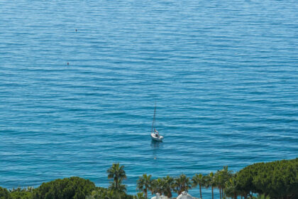 71a34c495f3ca603eeaf95a743576fab - 43