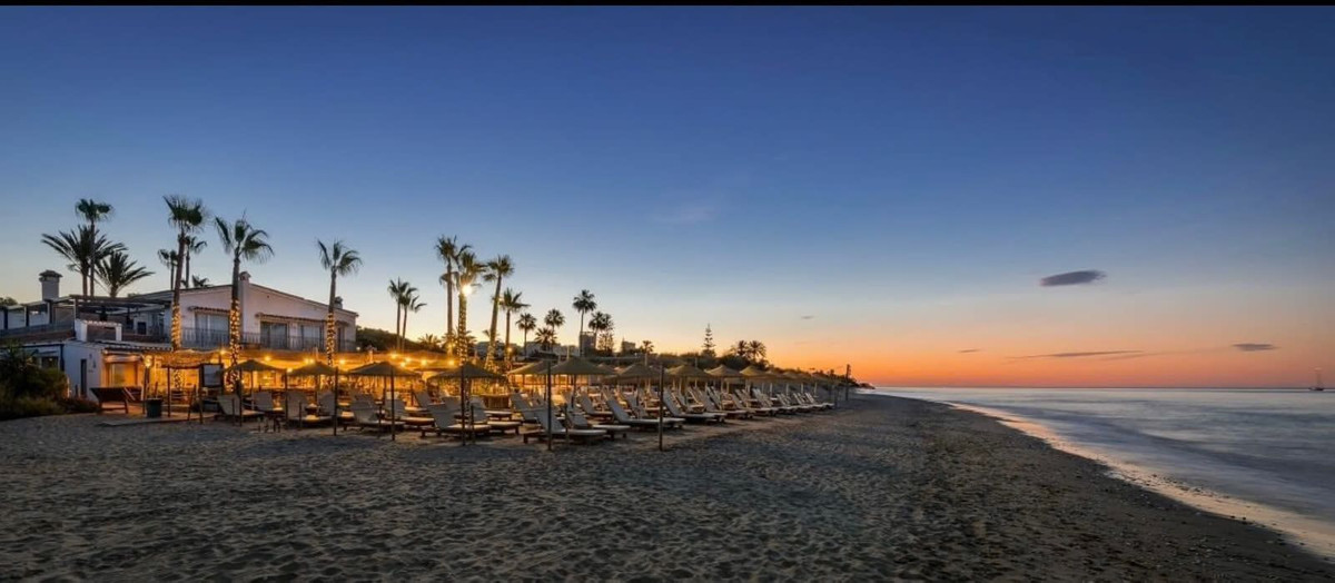 71b9c1de4c29c7c2ddebe7d5dbc4b6a7 - 30