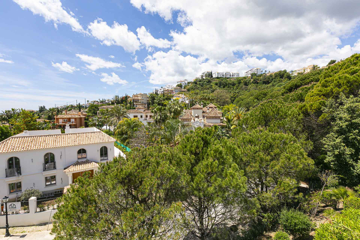 74377c94d9ec2b12616c8f2503eb7de0 - 21