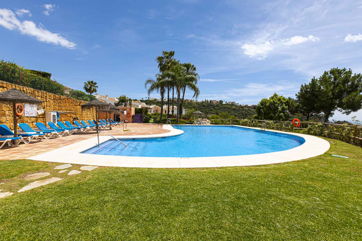 74377c94d9ec2b12616c8f2503eb7de0 - 25