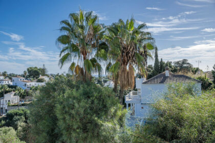 744cecb66bb08cae3bb67b4eafad14e4 - 49