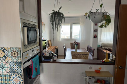 752fda39705c1168d110848691bb263f - 13