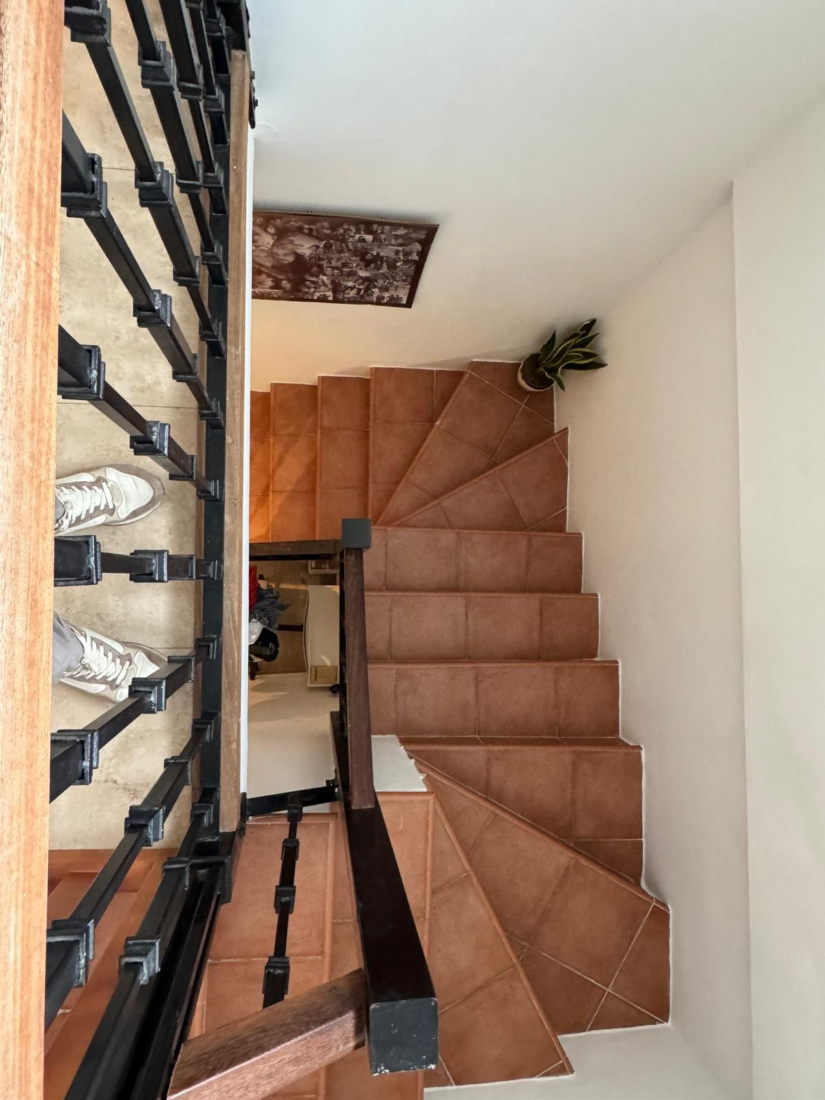 752fda39705c1168d110848691bb263f - 29