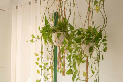 75c3cd9d4fa93f64177f7e0fd97fea7e - 19