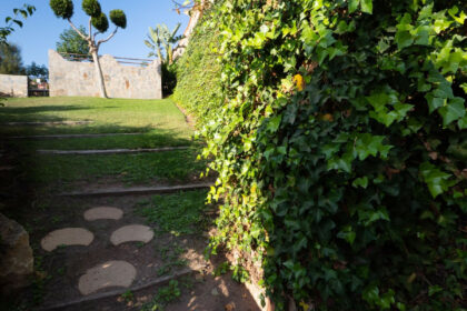 75c3cd9d4fa93f64177f7e0fd97fea7e - 29