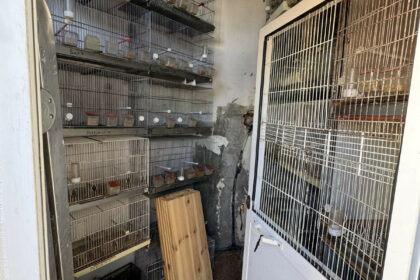 778045a053ec82f19aa8b044a2b30b6c - 16