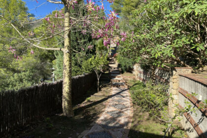 77b55048301e2466b132d5c592f7b1d3 - 44