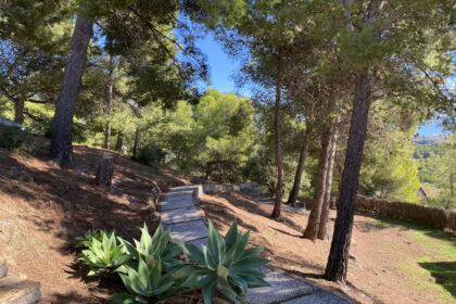 77b55048301e2466b132d5c592f7b1d3 - 46