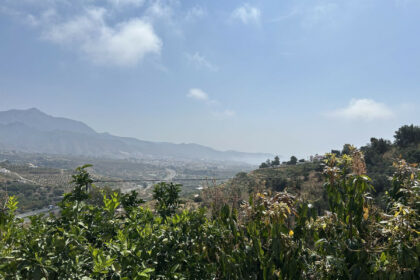 77fdfd9cdb8e303532617cec73e04f92 - 36