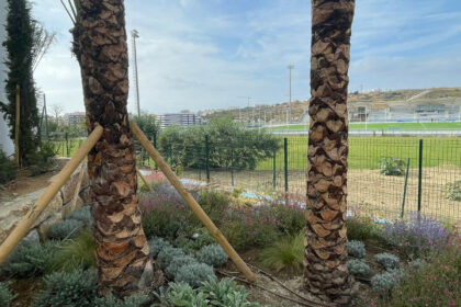 7816752ec093c9c3198207da09b9bfe5 - 26