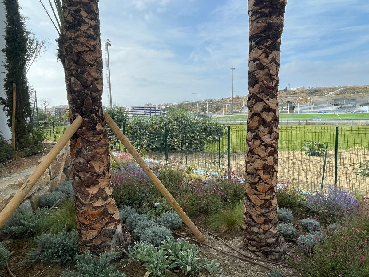 7816752ec093c9c3198207da09b9bfe5 - 26