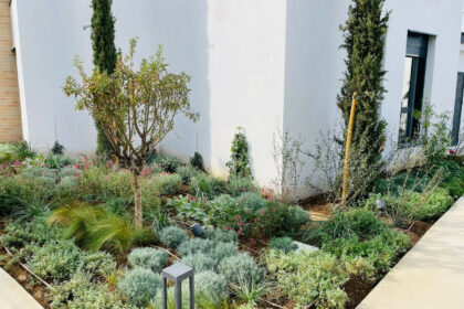 7816752ec093c9c3198207da09b9bfe5 - 30