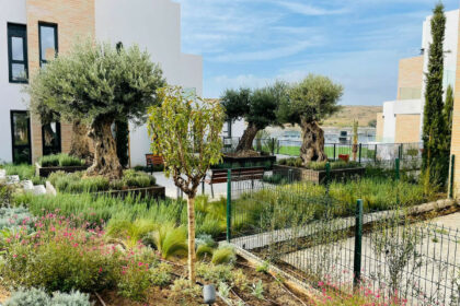 7816752ec093c9c3198207da09b9bfe5 - 31