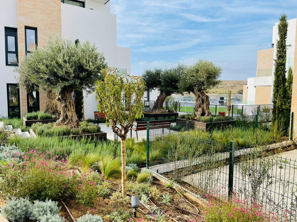 7816752ec093c9c3198207da09b9bfe5 - 31