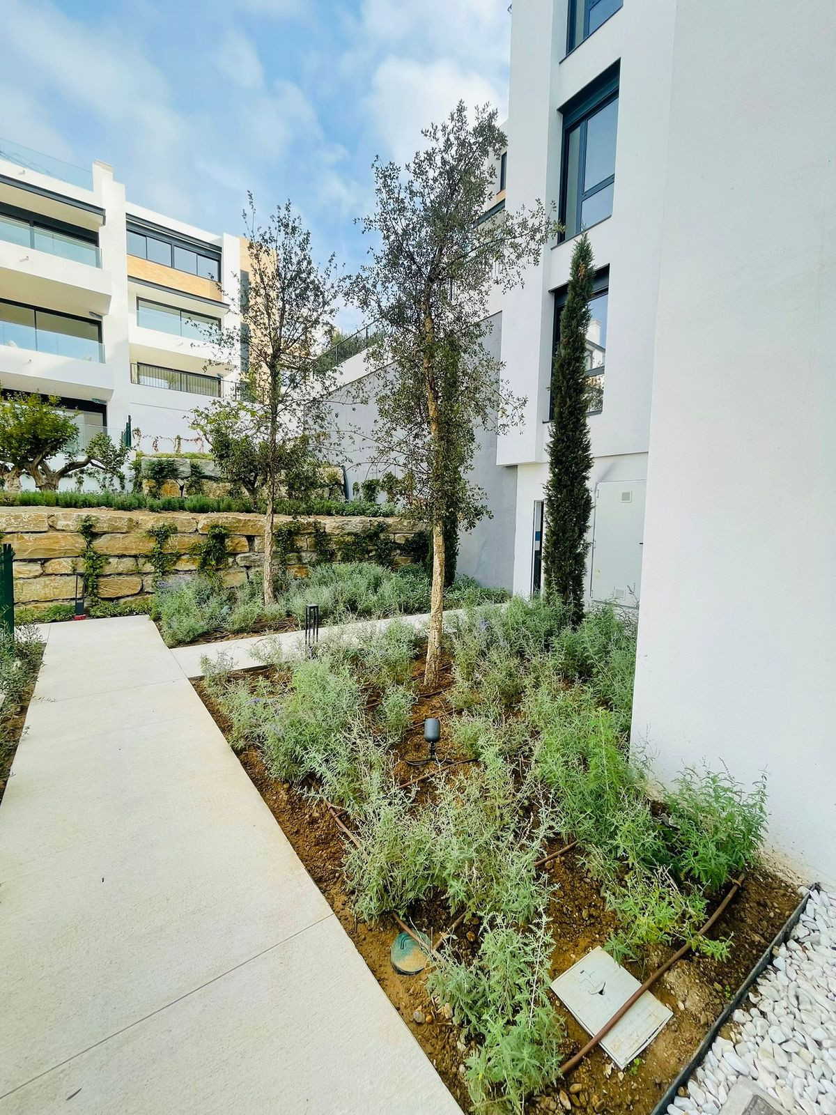 7816752ec093c9c3198207da09b9bfe5 - 33