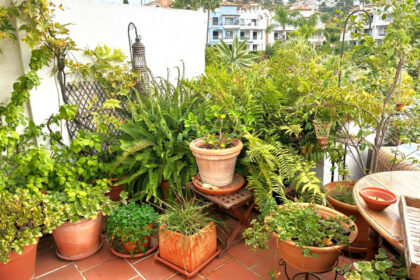 79d76cc36e8c2552a47f9a22019a12c1 - 102