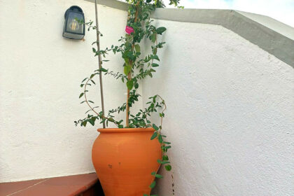 79d76cc36e8c2552a47f9a22019a12c1 - 103