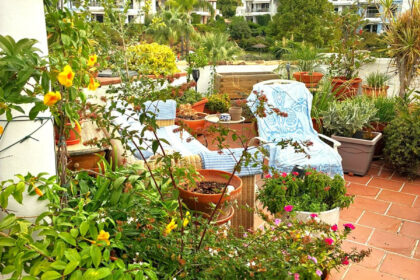 79d76cc36e8c2552a47f9a22019a12c1 - 111