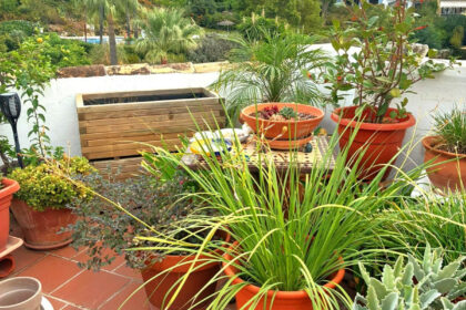 79d76cc36e8c2552a47f9a22019a12c1 - 112