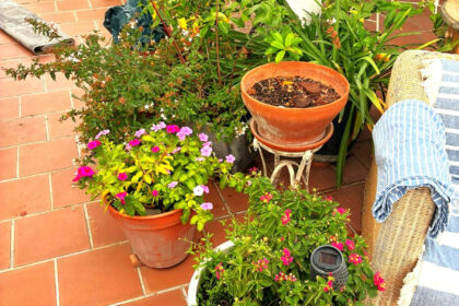 79d76cc36e8c2552a47f9a22019a12c1 - 114