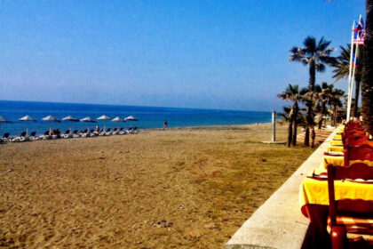 79d76cc36e8c2552a47f9a22019a12c1 - 56