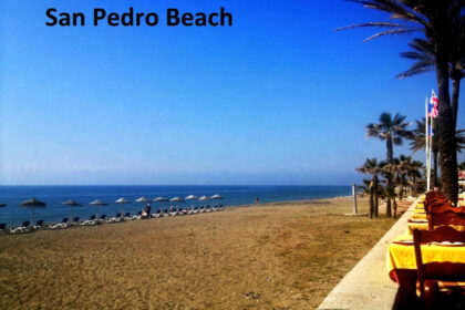 79d76cc36e8c2552a47f9a22019a12c1 - 63