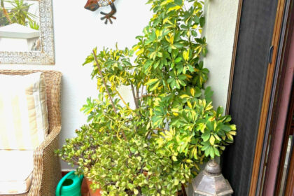 79d76cc36e8c2552a47f9a22019a12c1 - 80