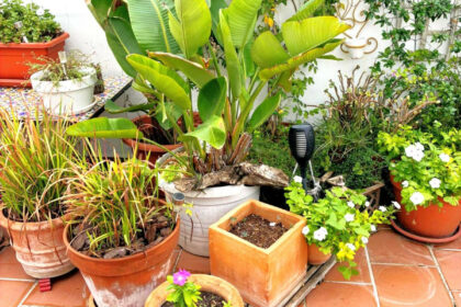 79d76cc36e8c2552a47f9a22019a12c1 - 89