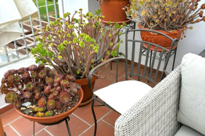 79d76cc36e8c2552a47f9a22019a12c1 - 91