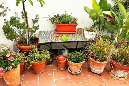 79d76cc36e8c2552a47f9a22019a12c1 - 97