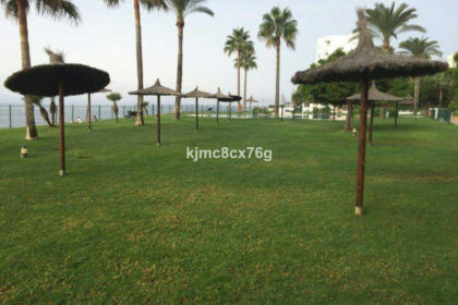 7aa52a33f0f6d91d6201f0047fc83a8b - 23