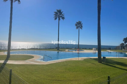 7aa52a33f0f6d91d6201f0047fc83a8b - 24