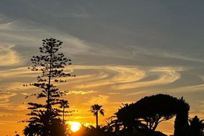 7bcc72b74650aead0eef43c7b9ba9b0c - 24