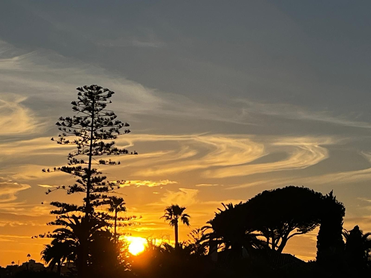 7bcc72b74650aead0eef43c7b9ba9b0c - 24