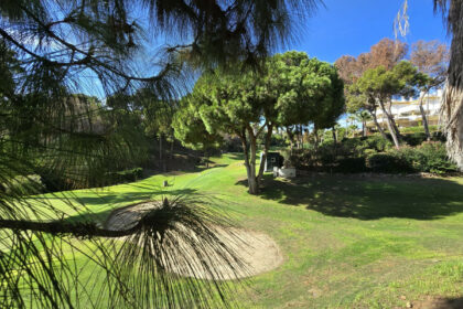 7bcc72b74650aead0eef43c7b9ba9b0c - 27