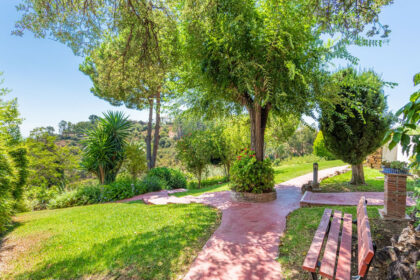 7e08091ada4d9040791396bc92c00932 - 19