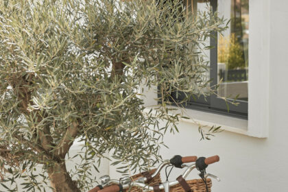 8245ab4292153f4f89d469d38e346d0b - 18