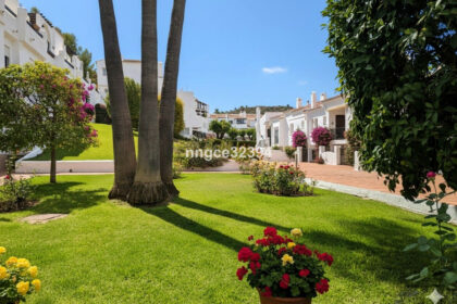 8371cd41355b811d64a581f89a67b9a1 - 17