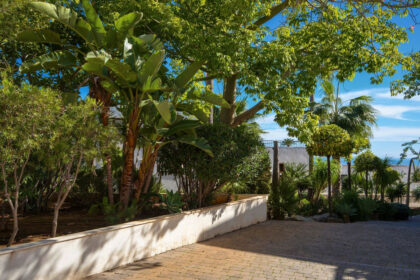 843df6b876a028d78e46248e809905d6 - 36