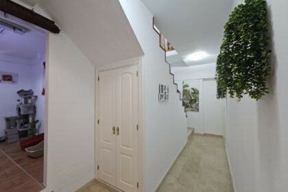 8499ba9f2a68098254400872db5df369 - 17