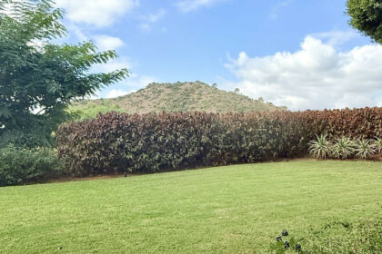 8554da7c065f5e99cb4786013b65abb4 - 45